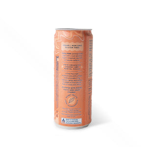 Organic sparkling Yerba Maté - YUZU flavour 20 pack